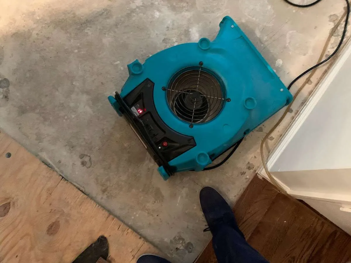 Air mover drying subfloor during Commercial Water Damage Restoration in North Haven